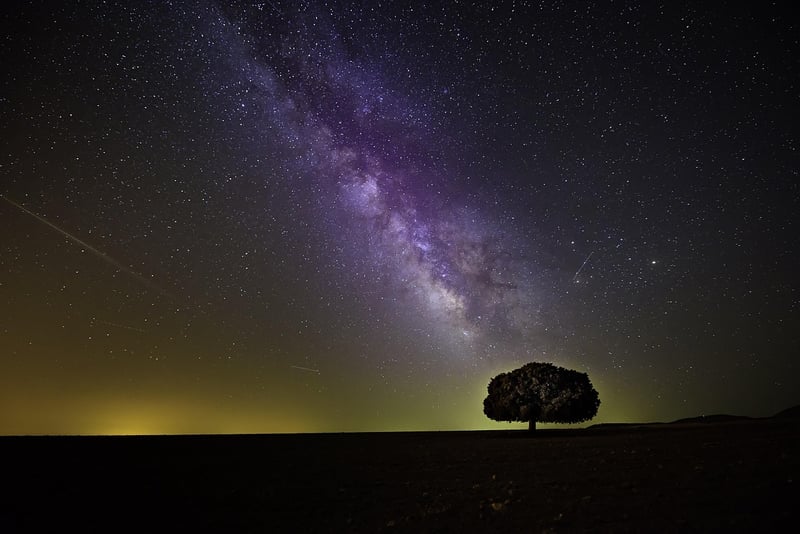 Starry sky at night